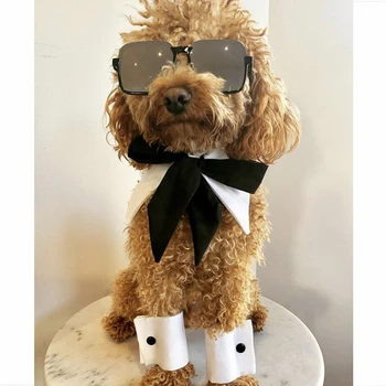 New Sosire Câine de Companie ochelari de Soare Ochi de-a purta Ochelari de elemente de Recuzită, Accesorii Consumabile Pisica Pahare Mici Pentru Câini de talie Medie Fotografii BBD01